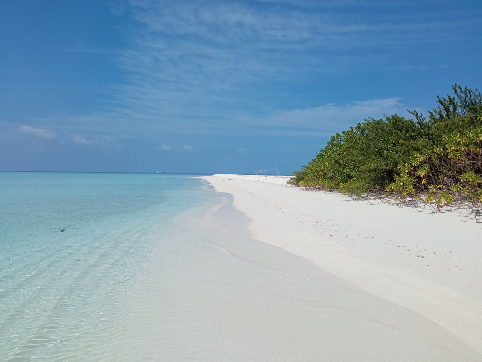 Omadhoo Island